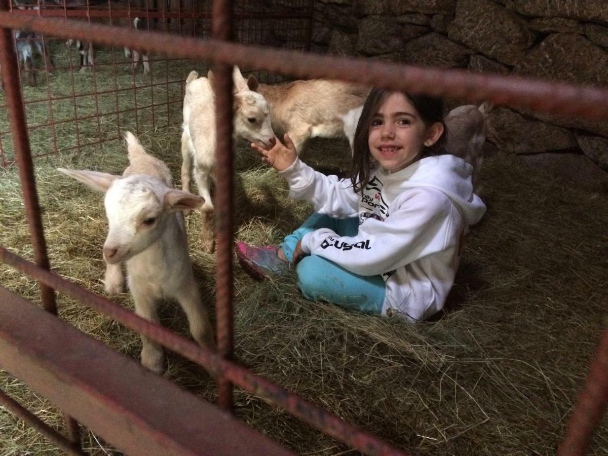 فندق A Queijaria Barreira  المظهر الخارجي الصورة