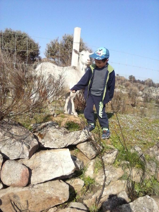 فندق A Queijaria Barreira  المظهر الخارجي الصورة
