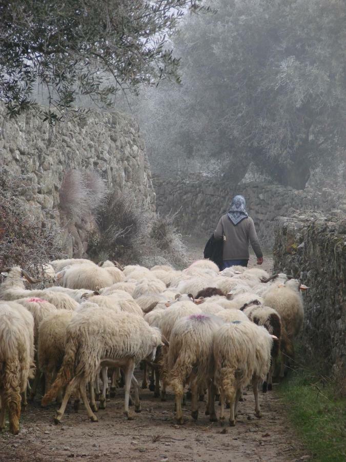 فندق A Queijaria Barreira  المظهر الخارجي الصورة